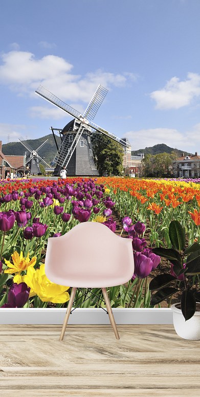 holandsko-mlyn-tulipany.jpg